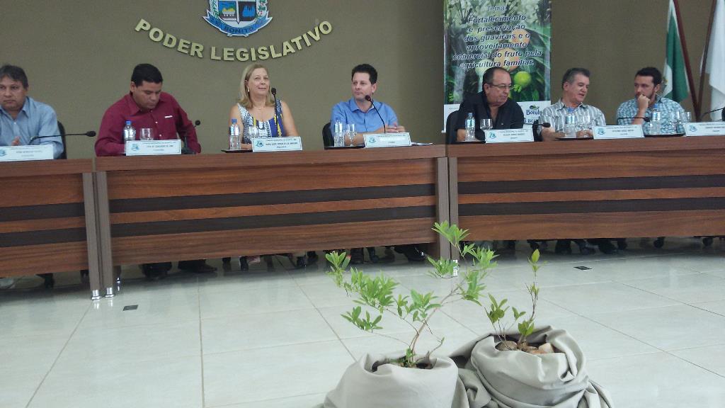 Imagem: Audiência pública para discutir preservação e produção da guavira lotou o plenário da Câmara Municipal de Bonito